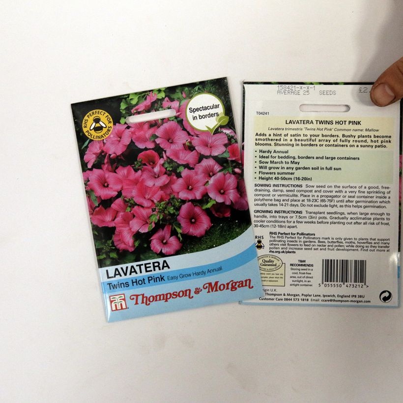 Exemple de spécimen de Graines de Lavatère annuelle Twins Hot Pink Graines tel que livré