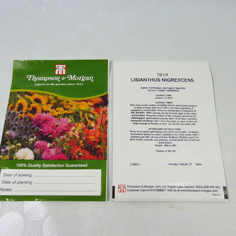 Exemple de spécimen de Graines de Lisianthius nigrescens - Fleur de la mort Graines tel que livré