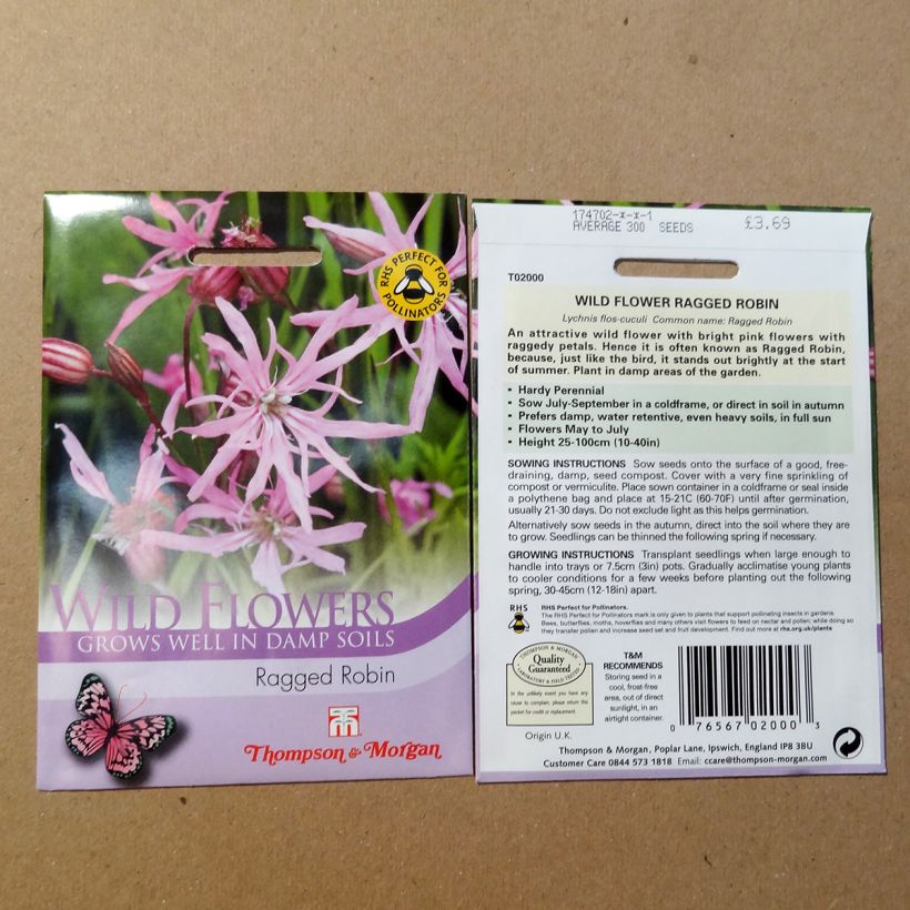 Spécimen de Graines de Lychnis Flos-cuculi - Oeillet des prés tel que livré en printemps