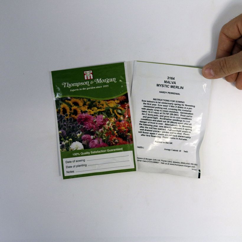 Exemple de spécimen de Graines de Malva sylvestris Mystic Merlin - Grande Mauve en mélange Graines tel que livré