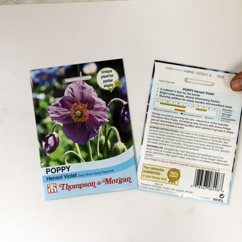 Exemple de spécimen de Graines de Meconopsis baileyi Hensol Violet - Pavot de l'Himalaya mauve tel que livré