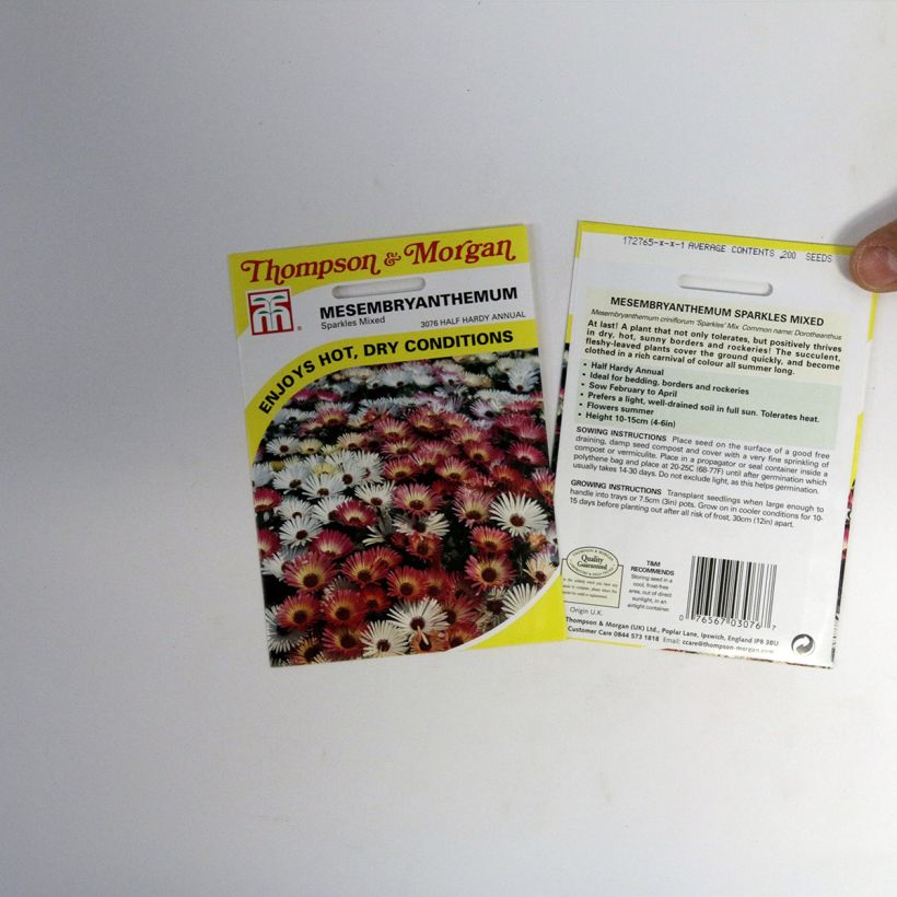 Exemple de spécimen de Graines de Mesembryanthemum Sparkles Mixed - Ficoïde Graines tel que livré