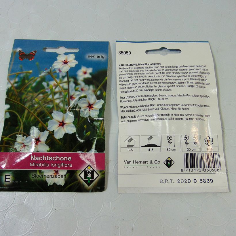 Exemple de spécimen de Graines de Mirabilis longiflora - Belle de nuit à longues fleurs tel que livré