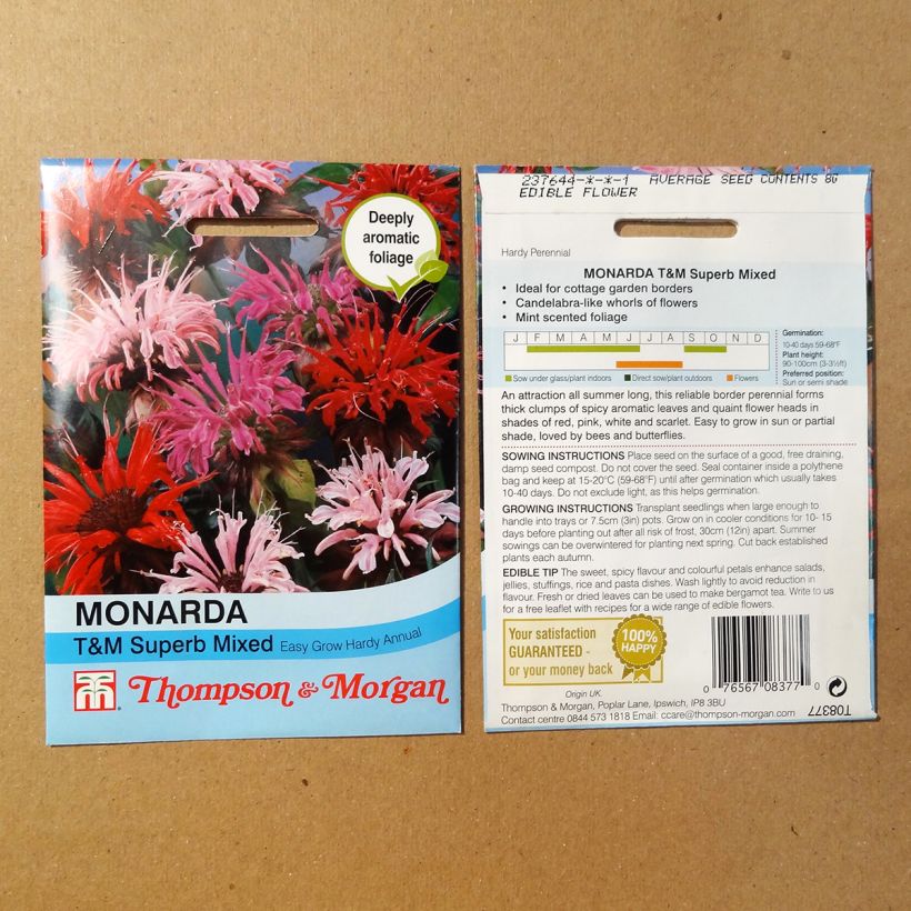 Exemple de spécimen de Graines de Monarde didyma T&M Superb Mixed - Bergamote tel que livré