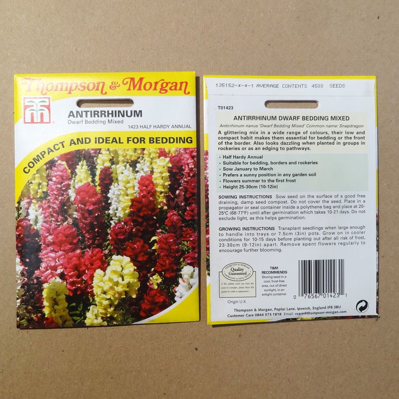 Exemple de spécimen de Graines de Muflier nain Dwarf Bedding Mixed - Antirrhinum nanum le sachet de 4500 graines tel que livré