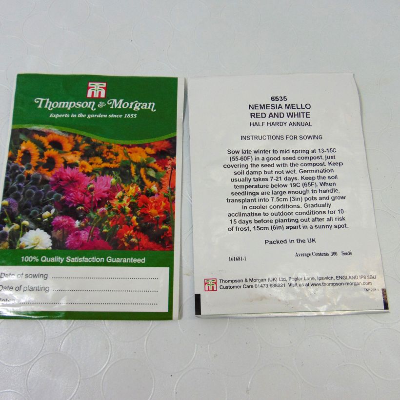 Exemple de spécimen de Graines de Nemesia Mello Red & White - Miroir des elfes Graines tel que livré