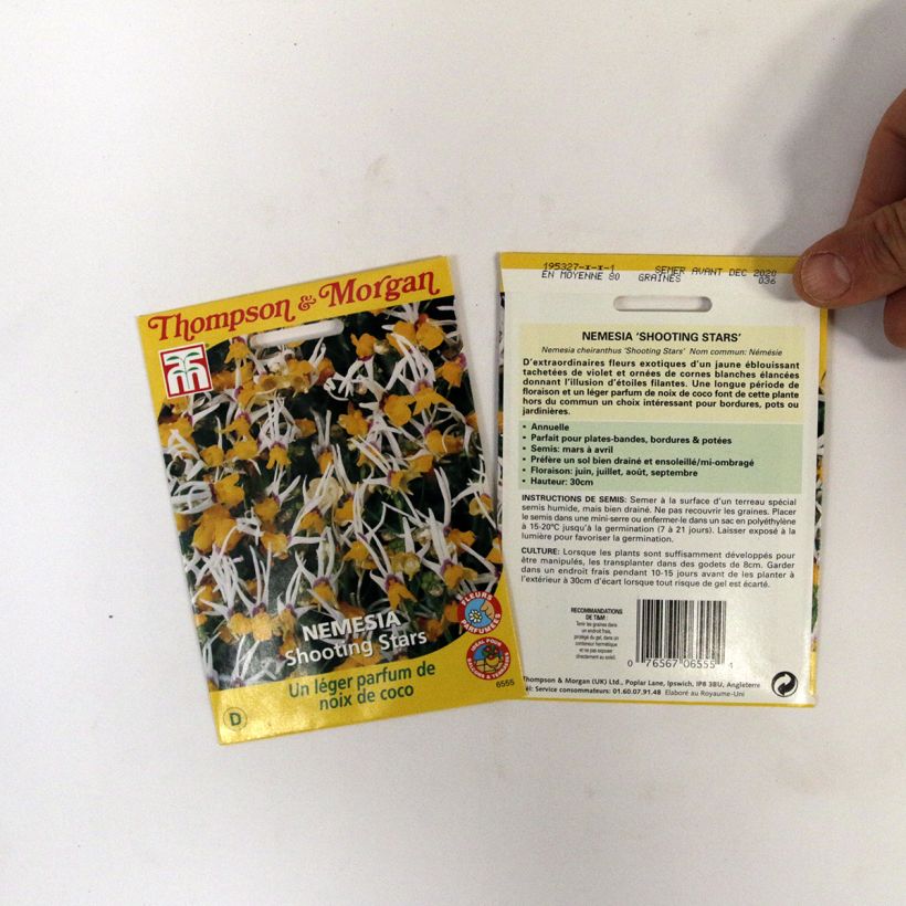 Exemple de spécimen de Graines de Nemesia cheiranthus Shooting Stars - Miroir des elfes Graines tel que livré