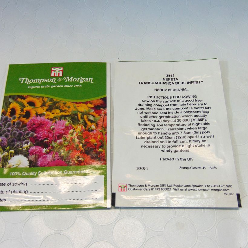 Exemple de spécimen de Graines de Nepeta transcaucasica Blue Infinity - Chataire le sachet de 45 graines tel que livré