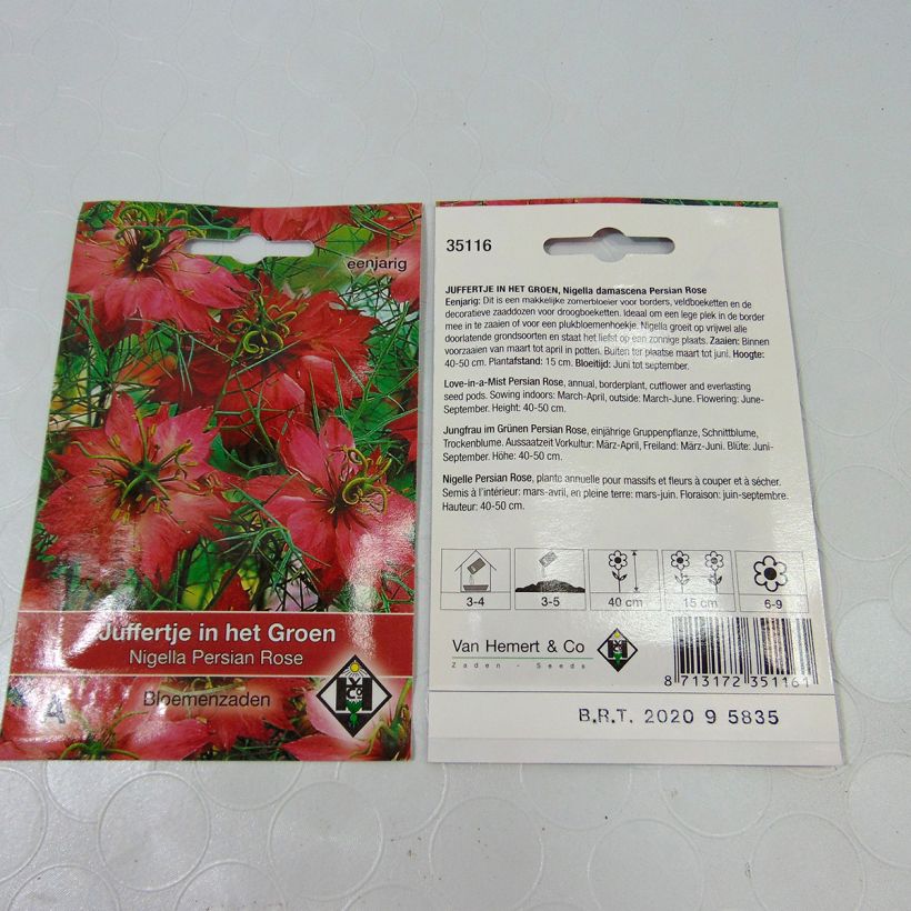 Exemple de spécimen de Graines de Nigelle de Damas Persian Rose - Nigella damascena tel que livré