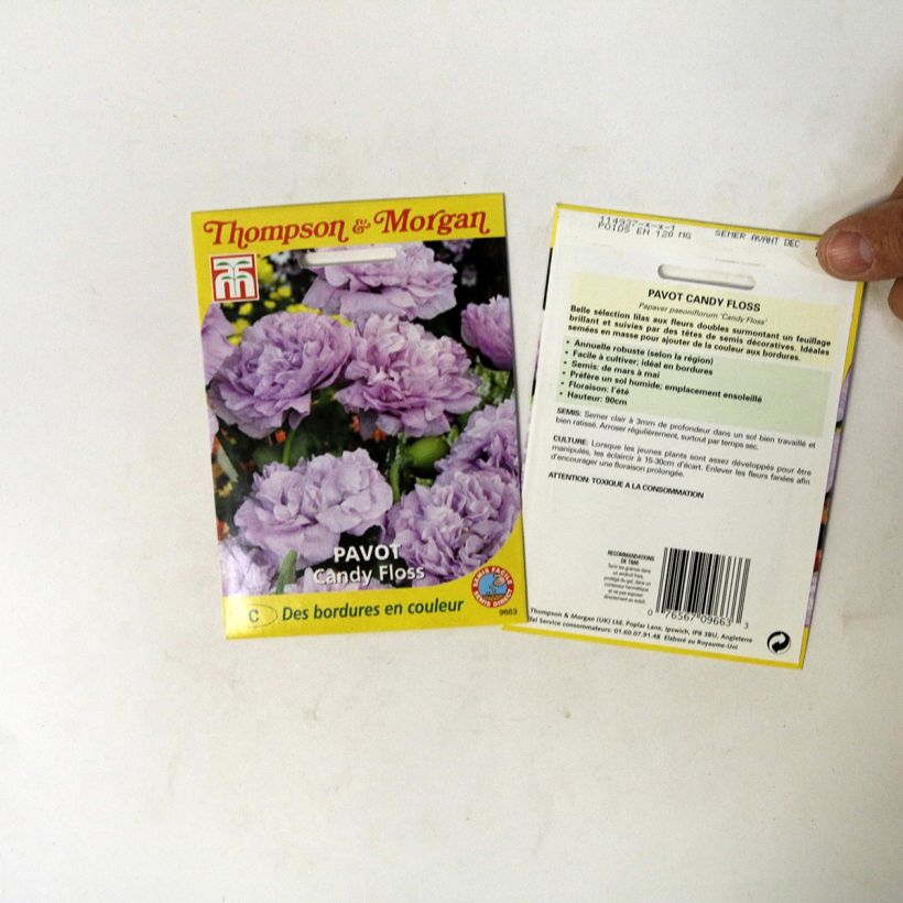 Exemple de spécimen de Graines de Pavot annuel Candy Floss - Papaver somniferum Graines tel que livré