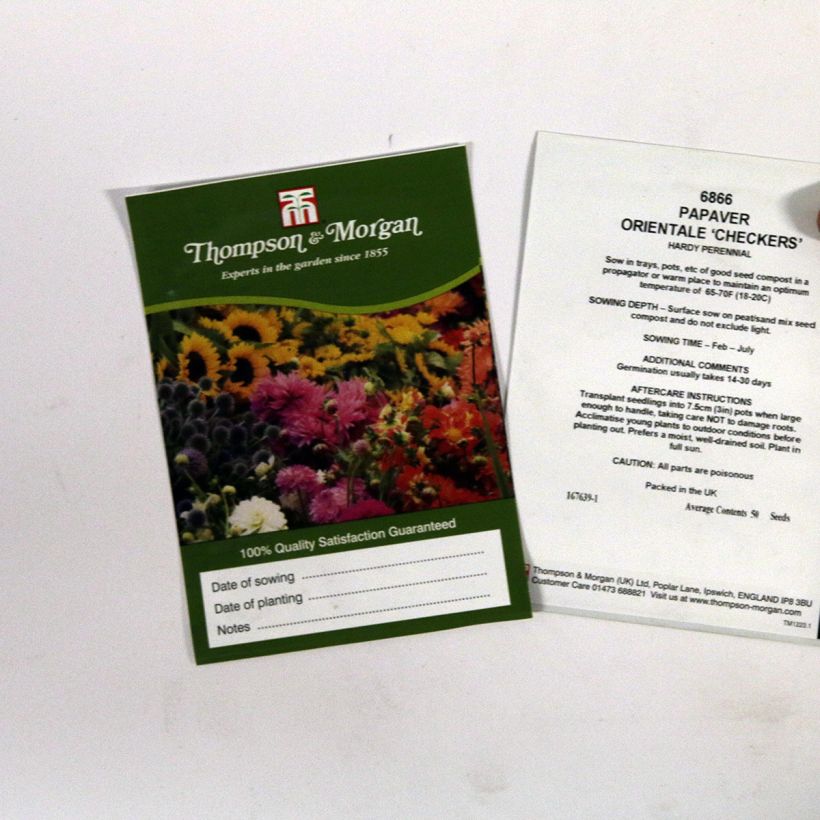 Exemple de spécimen de Graines de Pavot d'Orient Checkers - Papaver orientale Graines tel que livré