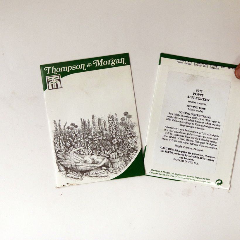 Exemple de spécimen de Graines de Pavot annuel Applegreen - Papaver somniferum Graines tel que livré