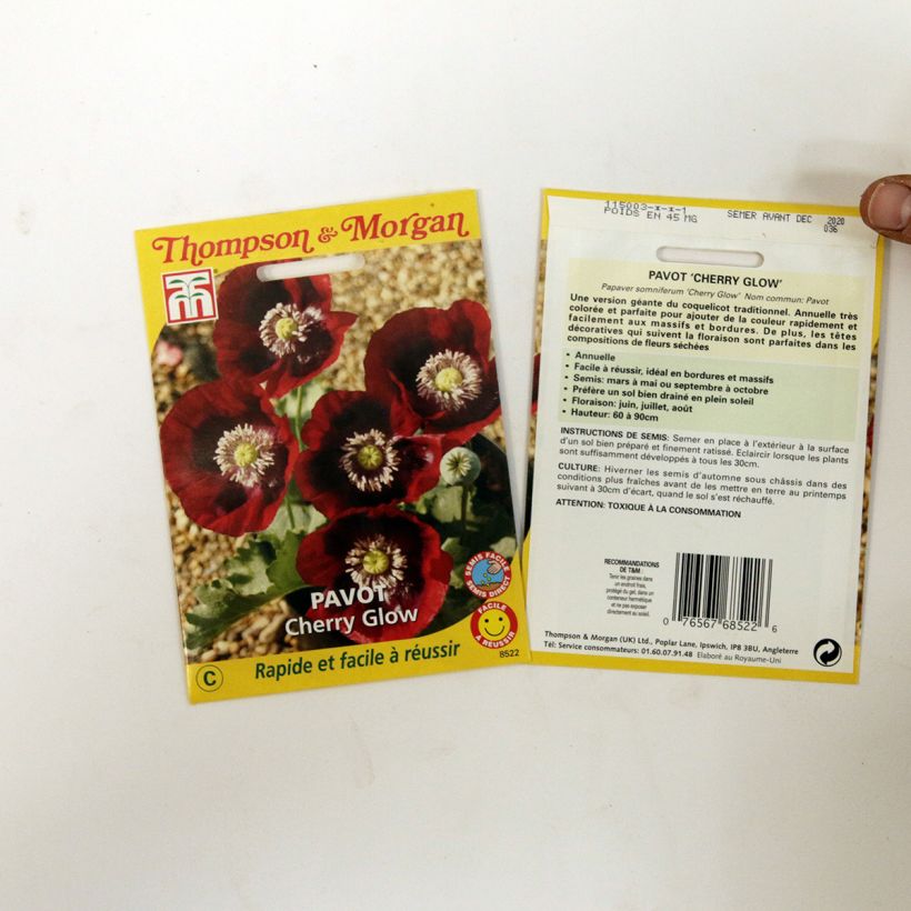 Spécimen de Graines de Pavot annuel Cherry Glow - Papaver somniferum tel que livré en printemps