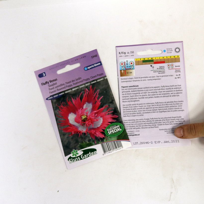 Exemple de spécimen de Graines de Pavot annuel Fluffy Venus - Papaver somniferum le sachet de 800 graines tel que livré