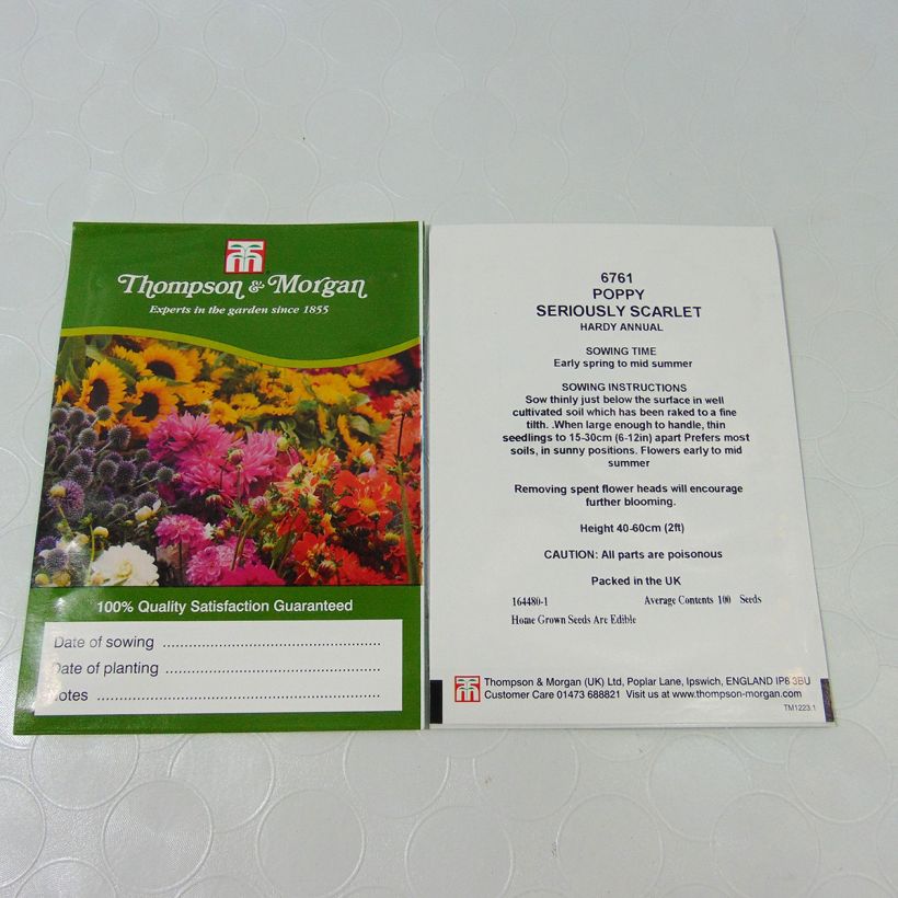 Exemple de spécimen de Graines de Pavot annuel Seriously Scarlet -  Papaver somniferum le sachet de 100 graines tel que livré