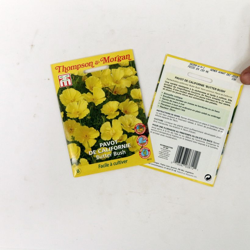 Exemple de spécimen de Graines de Pavot de Californie Butter Bush - Eschscholzia californica  tel que livré