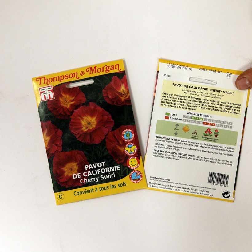 Exemple de spécimen de Graines de Pavot de Californie Cherry Swirl - Eschscholzia californica Graines tel que livré