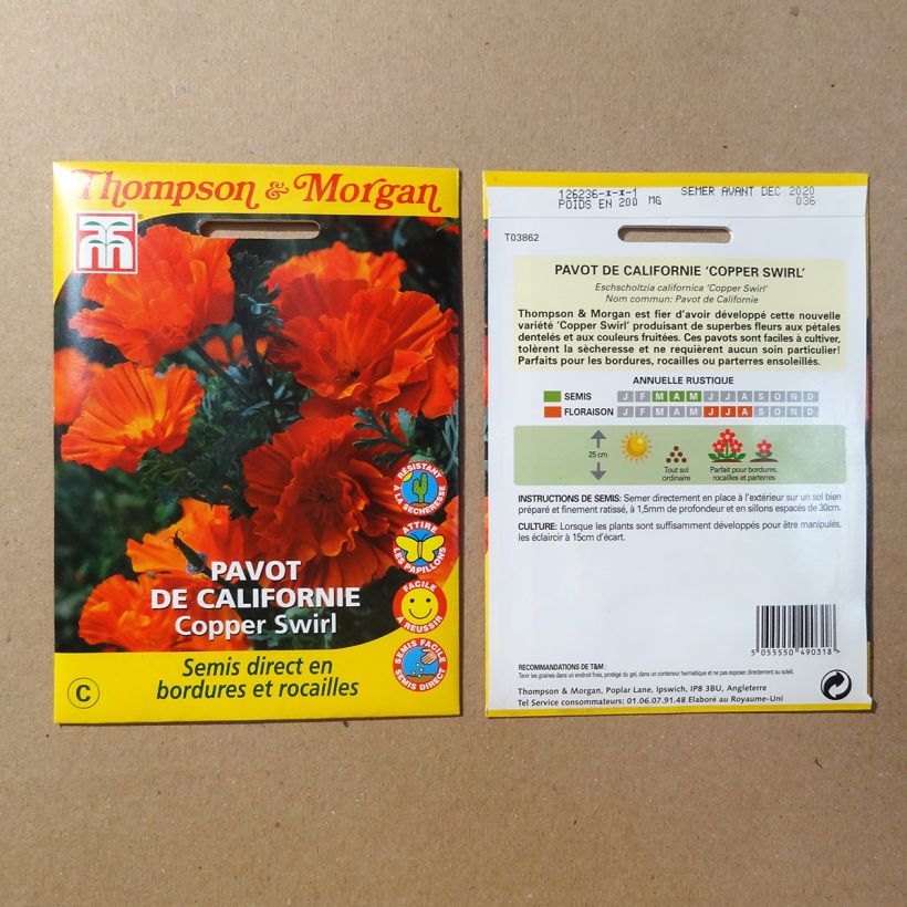 Exemple de spécimen de Graines de Pavot de Californie Copper Swirl - Eschscholzia californica Graines tel que livré