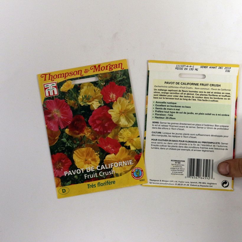 Exemple de spécimen de Graines de Pavot de Californie Fruit Crush - Eschscholzia californica Graines tel que livré