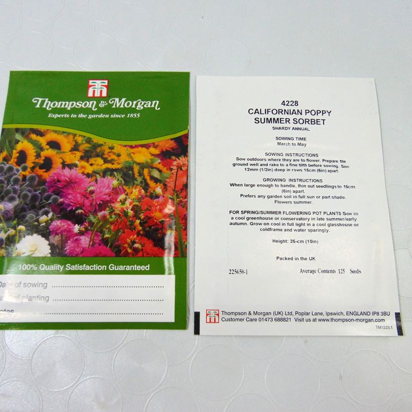 Exemple de spécimen de Graines de Pavot de Californie Thai Silk Rose Chiffon - Eschscholzia californica tel que livré