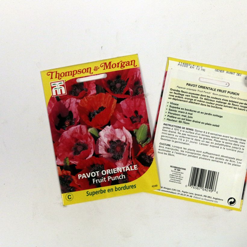Exemple de spécimen de Graines de Pavot d'Orient Fruit Punch - Papaver orientale  Graines tel que livré