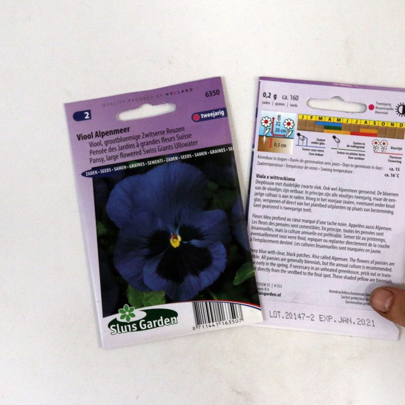 Exemple de spécimen de Graines de Pensée géante de Suisse Alpensee - Viola x wittrockiana tel que livré