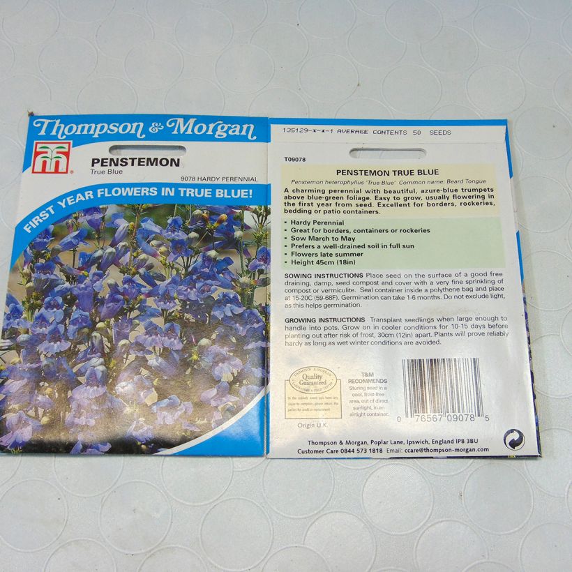 Exemple de spécimen de Graines de Penstemon heterophyllus True Blue - Galane Graines tel que livré
