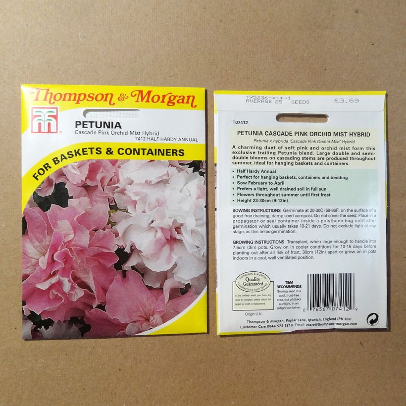 Exemple de spécimen de Graines de Pétunia Cascade Pink Orchid Mist F1 Graines tel que livré