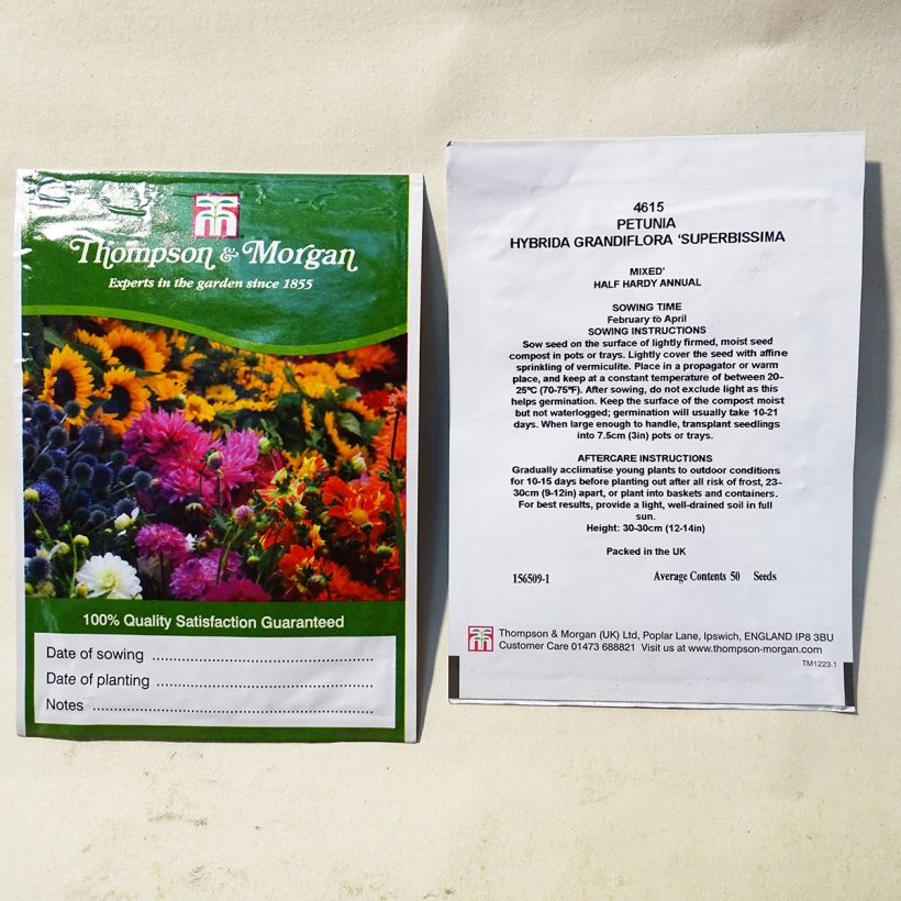 Exemple de spécimen de Graines de Pétunia Grandiflora Superbissima  le sachet de 50 graines tel que livré