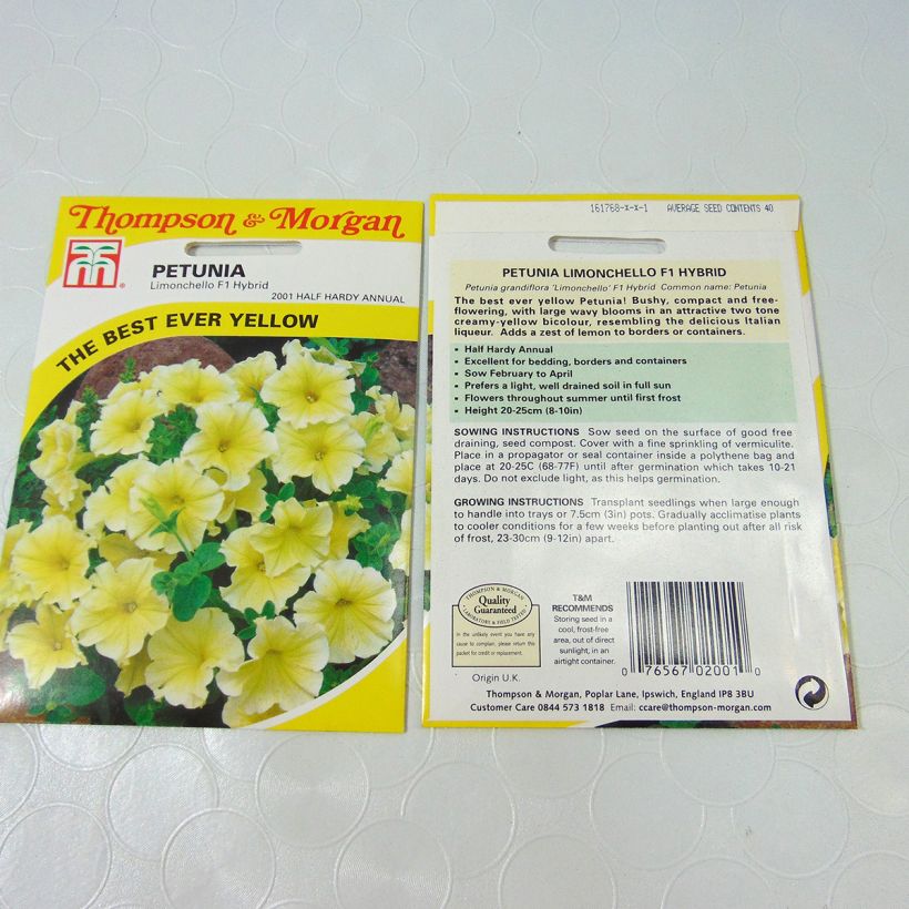 Exemple de spécimen de Graines de Pétunia Limoncello F1 Graines tel que livré