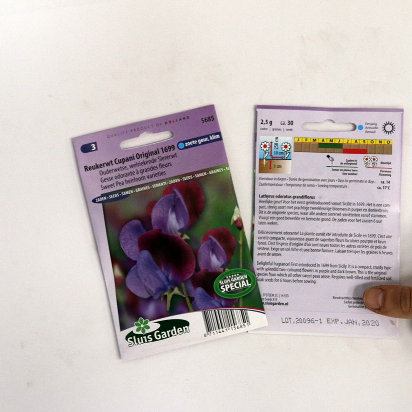 Exemple de spécimen de Graines de Pois de senteur Cupani - Lathyrus odoratus  tel que livré