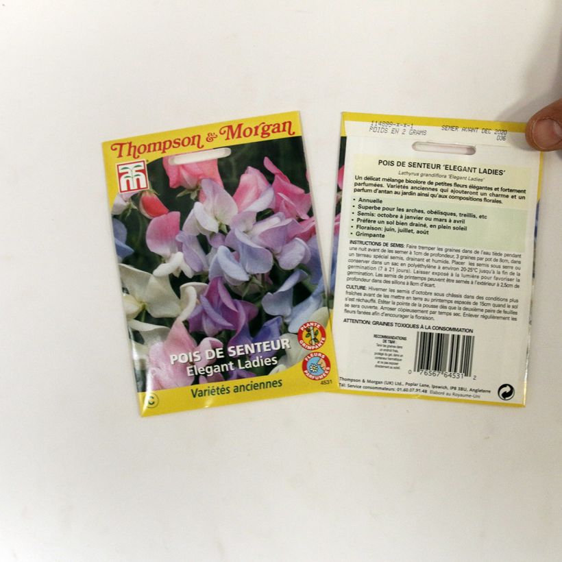 Exemple de spécimen de Graines de Pois de senteur Elegant Ladies - Lathyrus odoratus tel que livré