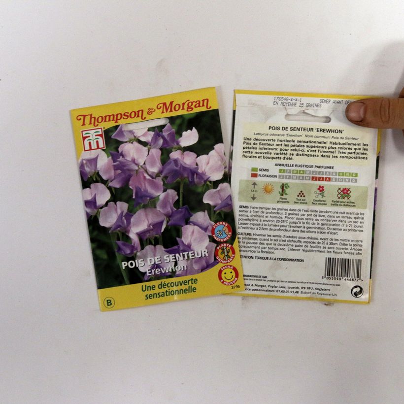 Exemple de spécimen de Graines de Pois de senteur Erewhon -  Lathyrus odoratus (x) belinensis Graines tel que livré