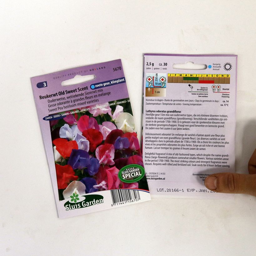 Exemple de spécimen de Graines de Pois de senteur Old Sweet Scent - Lathyrus odoratus  Graines tel que livré