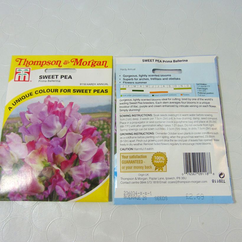 Exemple de spécimen de Graines de Pois de Senteur Prima Ballerina - Lathyrus odoratus Graines tel que livré