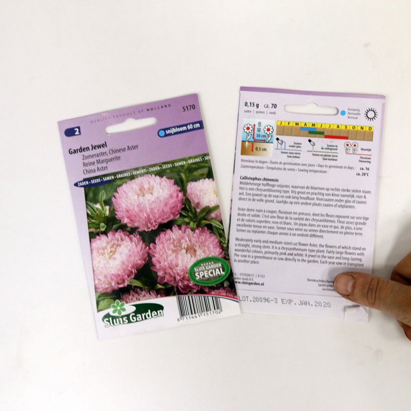 Exemple de spécimen de Graines de Reine-marguerite Garden Jewel Rose Graines tel que livré