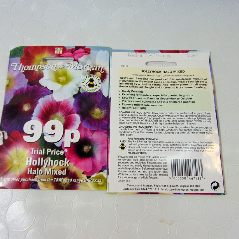 Exemple de spécimen de Graines de Rose trémière Halo Mixed - Alcea rosea le sachet de 25 graines tel que livré