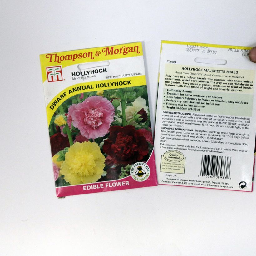 Exemple de spécimen de Graines de Rose trémière annuelle Majorette Mixed - Alcea rosea tel que livré