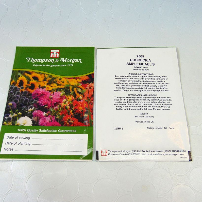 Exemple de spécimen de Graines de Rudbeckia Chapeau Mexicain - Rudbeckia amplexicaulis Graines tel que livré