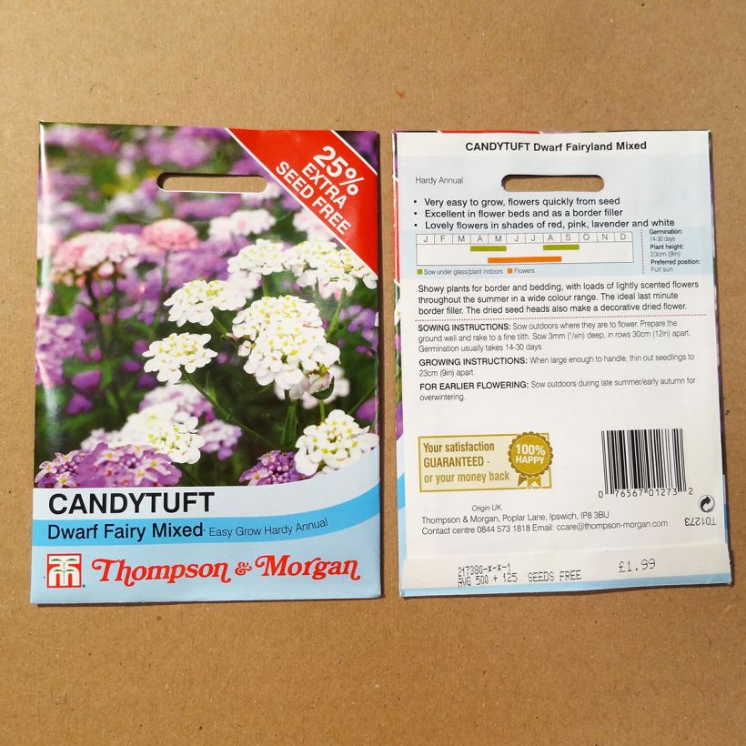 Exemple de spécimen de Graines de Thlaspi nain Candytuft Fairy mixed - Iberis umbellata tel que livré