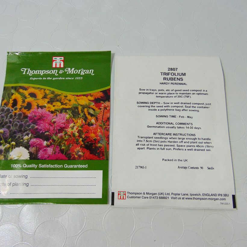 Exemple de spécimen de Graines de Trifolium rubens - Trèfle pourpré tel que livré