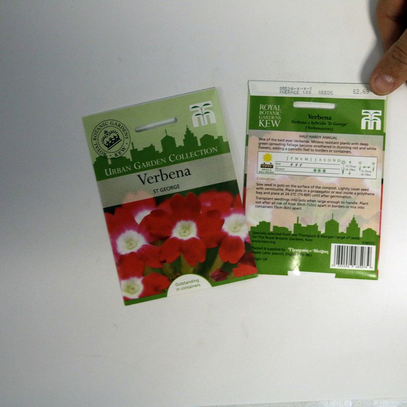 Exemple de spécimen de Graines de Verveine des Jardins St George Graines tel que livré