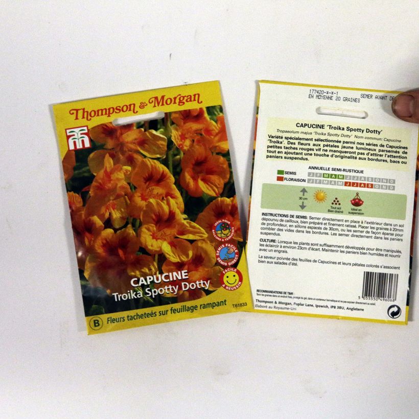Exemple de spécimen de Graines de Capucine naine Troika Spotty Dotty - Tropaeolum majus Graines tel que livré