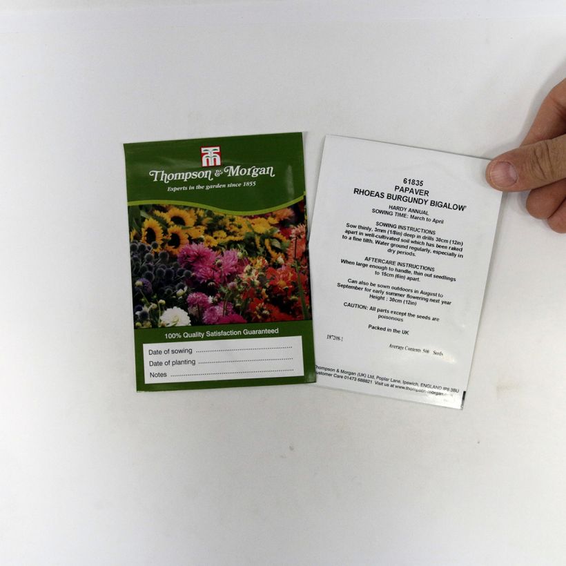Exemple de spécimen de Graines de Coquelicot Burgundy Bigalow - Papaver rhoeas Graines tel que livré
