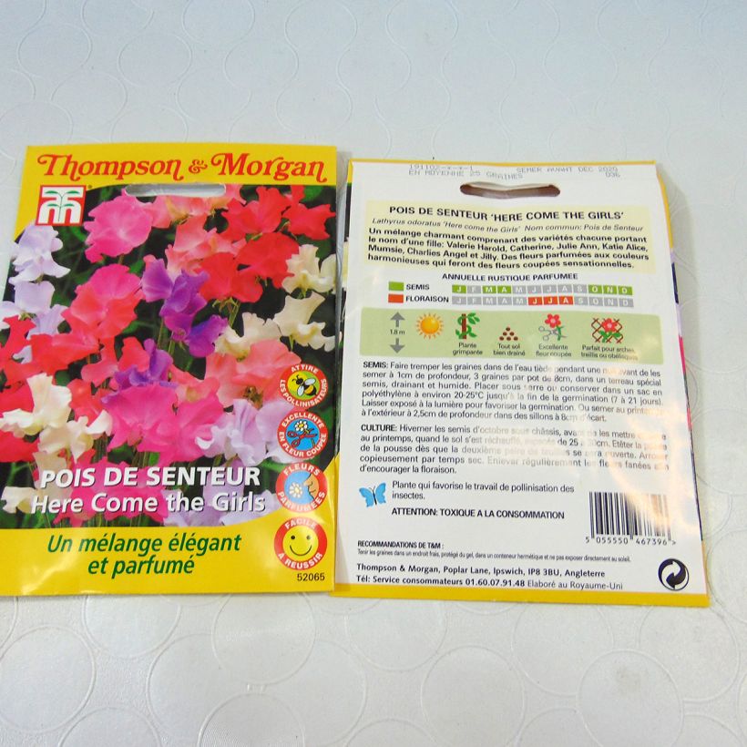Exemple de spécimen de Graines de pois de senteur Here come the Girls - Lathyrus odoratus Graines tel que livré