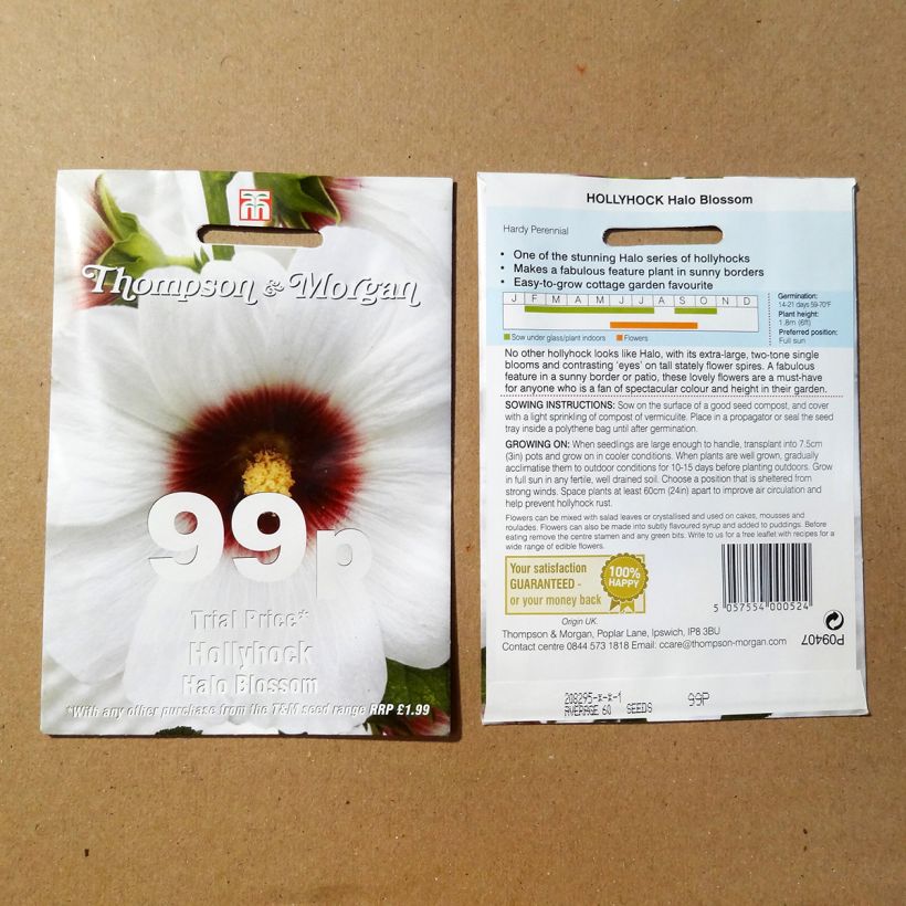 Exemple de spécimen de Graines de Rose trémière Halo Blossom - Alcea rosea Graines tel que livré