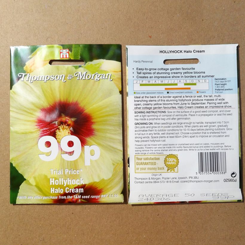 Exemple de spécimen de Graines de Rose trémière Halo Cream - Alcea rosea Graines tel que livré