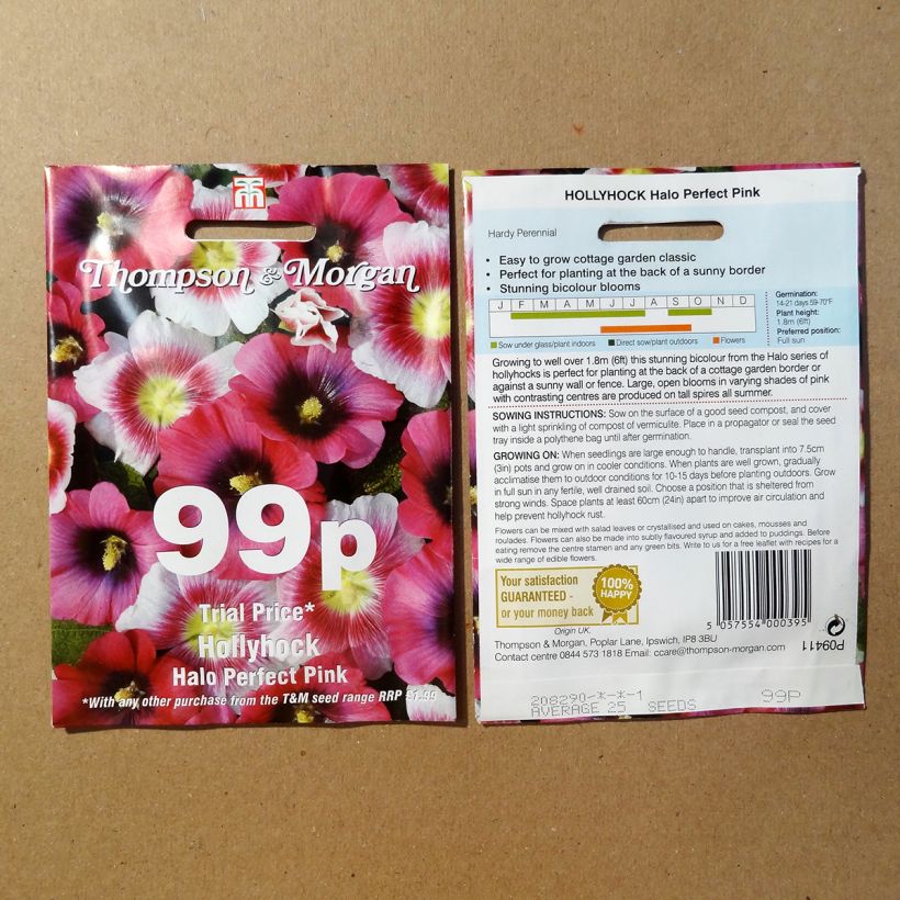 Exemple de spécimen de Graines de Rose trémière Halo Perfect Pink - Alcea rosea Graines tel que livré