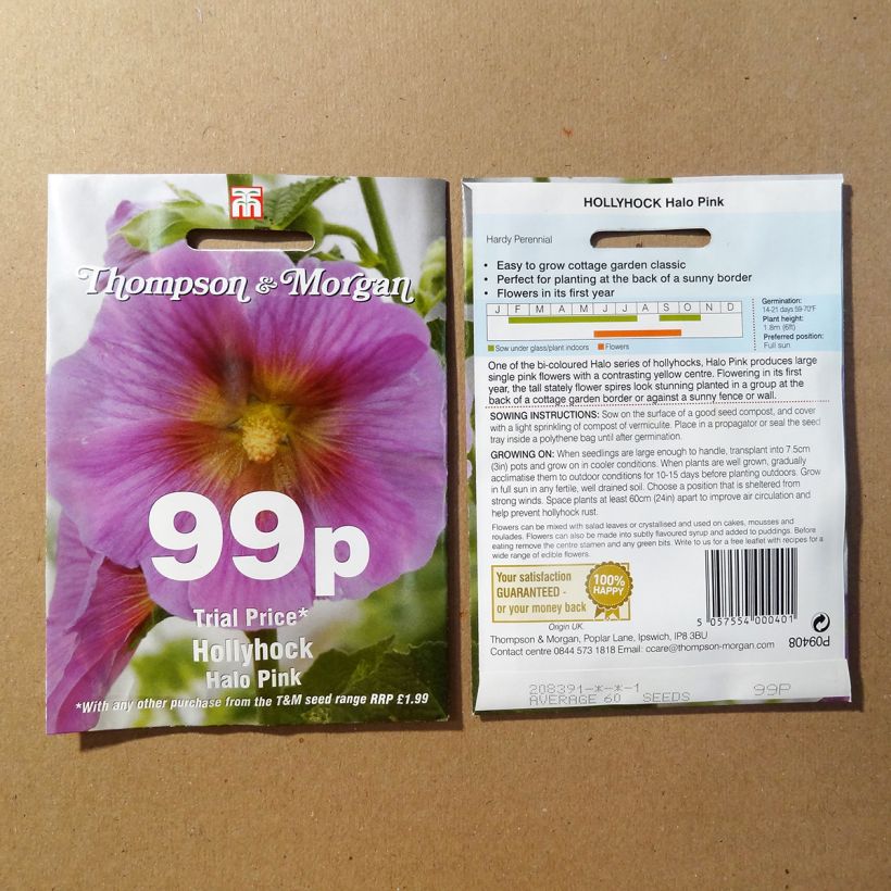 Exemple de spécimen de Graines de Rose trémière Halo Pink - Alcea rosea Graines tel que livré