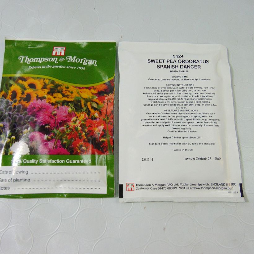 Exemple de spécimen de Graines d'Oeillet Russian Skies - Dianthus  le sachet de 30 graines tel que livré